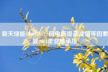 新天绿能(600956)：风电场设备减值等因素致2024年业绩承压