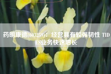 药明康德(603259)：经营具有较强韧性 TIDES业务快速增长