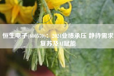 恒生电子(600570)：2024业绩承压 静待需求复苏及AI赋能