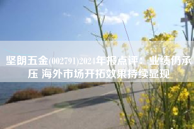 坚朗五金(002791)2024年报点评：业绩仍承压 海外市场开拓效果持续显现