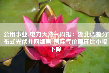 公用事业-电力天然气周报：湖北调整分布式光伏并网细则 国际气价周环比小幅下降