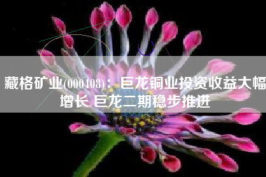 藏格矿业(000408)：巨龙铜业投资收益大幅增长 巨龙二期稳步推进