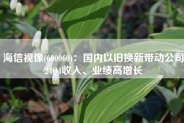 海信视像(600060)：国内以旧换新带动公司24Q4收入、业绩高增长