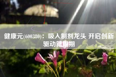 健康元(600380)：吸入制剂龙头 开启创新驱动新周期