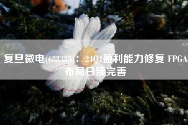 复旦微电(688385)：24Q4盈利能力修复 FPGA布局日臻完善