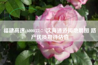 福建高速(600033)：沈海通道闽地展图 路产优质期待估值