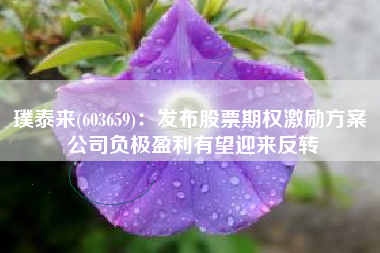 璞泰来(603659)：发布股票期权激励方案 公司负极盈利有望迎来反转