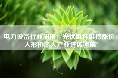 电力设备行业周报：光伏组件维持涨价 人形机器人产业进展密集
