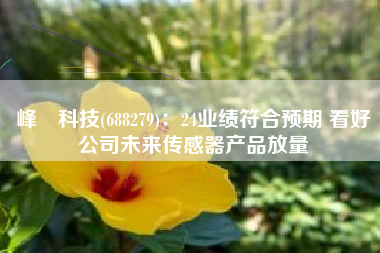 峰岹科技(688279)：24业绩符合预期 看好公司未来传感器产品放量