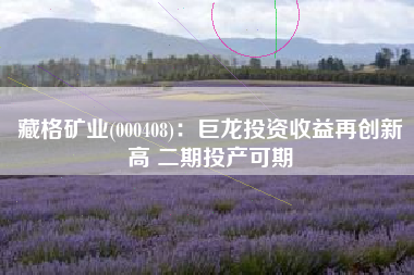 藏格矿业(000408)：巨龙投资收益再创新高 二期投产可期