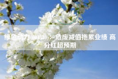 绿色动力(601330)：危废减值拖累业绩 高分红超预期