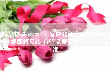 鸿泉物联(688288)：客户和新产品拓展顺利 业绩即将反转 有望深度受益于AECS新标准