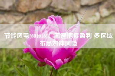 节能风电(601016)：风速拖累盈利 多区域布局对冲风险