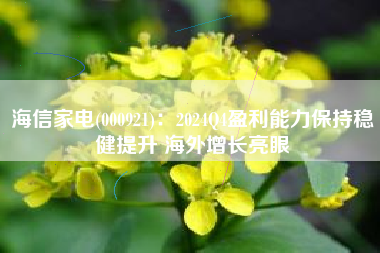 海信家电(000921)：2024Q4盈利能力保持稳健提升 海外增长亮眼
