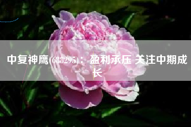 中复神鹰(688295)：盈利承压 关注中期成长