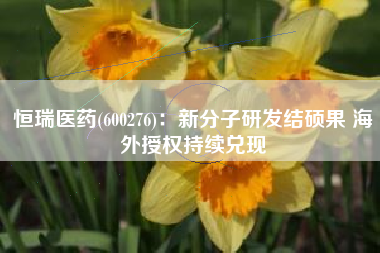 恒瑞医药(600276)：新分子研发结硕果 海外授权持续兑现