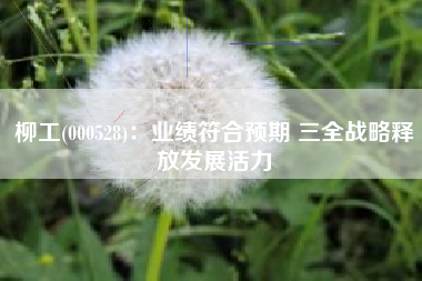 柳工(000528)：业绩符合预期 三全战略释放发展活力