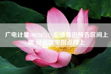 广电计量(002967)：业绩靠近预告区间上限 经营效率拐点向上