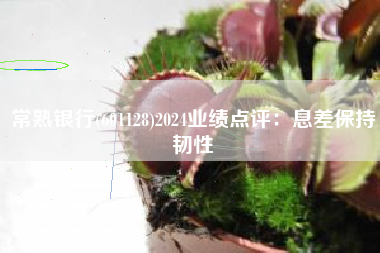常熟银行(601128)2024业绩点评：息差保持韧性