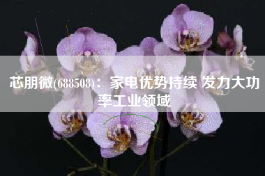 芯朋微(688508)：家电优势持续 发力大功率工业领域