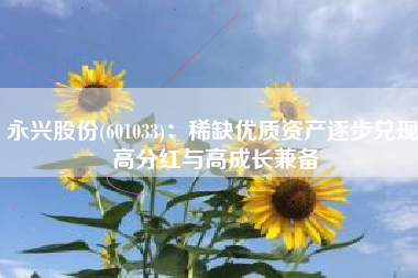 永兴股份(601033)：稀缺优质资产逐步兑现 高分红与高成长兼备