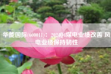 华能国际(600011)：2024Q4煤电业绩改善 风电业绩保持韧性