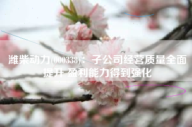 潍柴动力(000338)：子公司经营质量全面提升 盈利能力得到强化