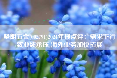 坚朗五金(002791)2024年报点评：需求下行致业绩承压 海外业务加快拓展