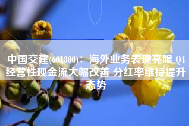 中国交建(601800)：海外业务表现亮眼 Q4经营性现金流大幅改善 分红率维持提升态势