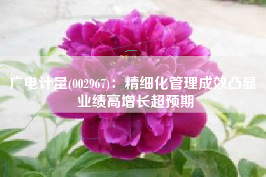 广电计量(002967)：精细化管理成效凸显 业绩高增长超预期
