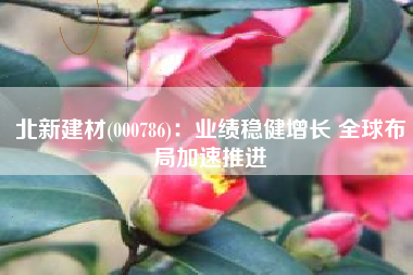 北新建材(000786)：业绩稳健增长 全球布局加速推进