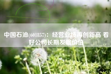 中国石油(601857)：经营业绩再创新高 看好公司长期发展价值