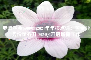 赤峰黄金(600988)2024年年报点评：黄金业务价量齐升 2024Q4开启增储工作