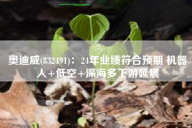 奥迪威(832491)：24年业绩符合预期 机器人+低空+深海多下游延展