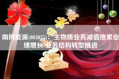 南网能源(003035)：生物质业务减值拖累业绩增长 业务结构转型推进