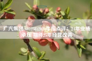 广汽集团(601238)2024年报点评：24年业绩承压 期待25年经营改善