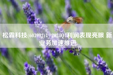 松霖科技(603992)：2024Q4利润表现亮眼 新业务加速推进