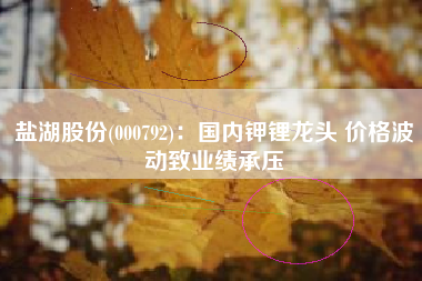 盐湖股份(000792)：国内钾锂龙头 价格波动致业绩承压