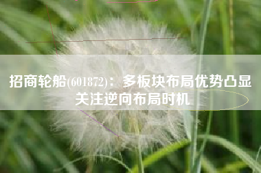 招商轮船(601872)：多板块布局优势凸显 关注逆向布局时机