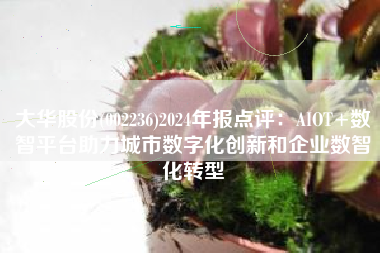 大华股份(002236)2024年报点评：AIOT+数智平台助力城市数字化创新和企业数智化转型