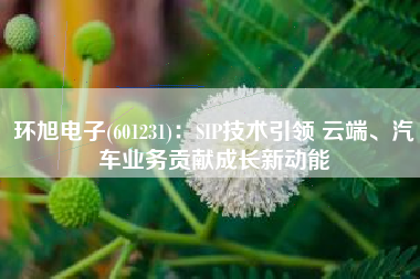 环旭电子(601231)：SIP技术引领 云端、汽车业务贡献成长新动能
