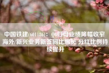中国铁建(601186)：Q4归母业绩降幅收窄 海外/新兴业务新签同比增长 分红比例持续提升