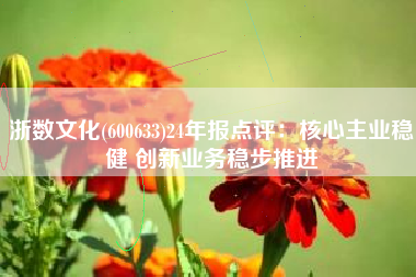 浙数文化(600633)24年报点评：核心主业稳健 创新业务稳步推进