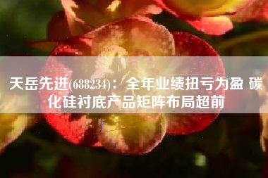 天岳先进(688234)：全年业绩扭亏为盈 碳化硅衬底产品矩阵布局超前