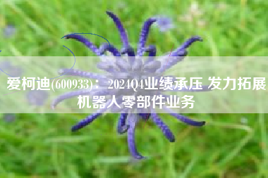 爱柯迪(600933)：2024Q4业绩承压 发力拓展机器人零部件业务