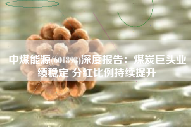 中煤能源(601898)深度报告：煤炭巨头业绩稳定 分红比例持续提升