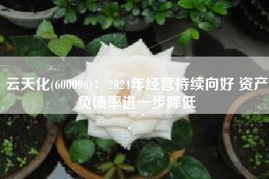云天化(600096)：2024年经营持续向好 资产负债率进一步降低