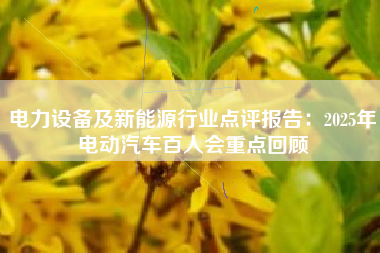 电力设备及新能源行业点评报告：2025年电动汽车百人会重点回顾