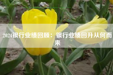 2024银行业绩回顾：银行业绩回升从何而来