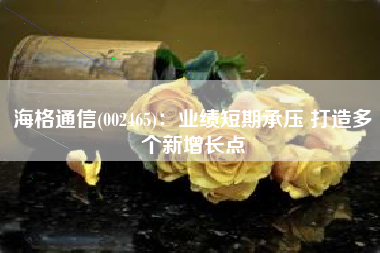海格通信(002465)：业绩短期承压 打造多个新增长点